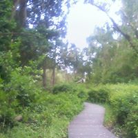 Jack Holmes Photo 28