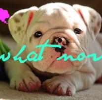 Amanda Swope Photo 4