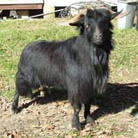 Cynthia Hailey Photo 8