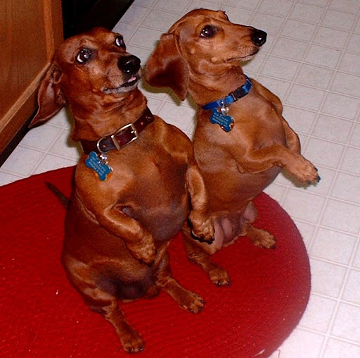 James Miner Photo 14