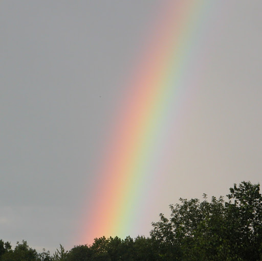 Stephen Farber Photo 22