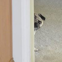 Crystal Crisp Photo 18