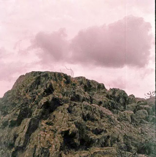 Wesley Robinson Photo 19