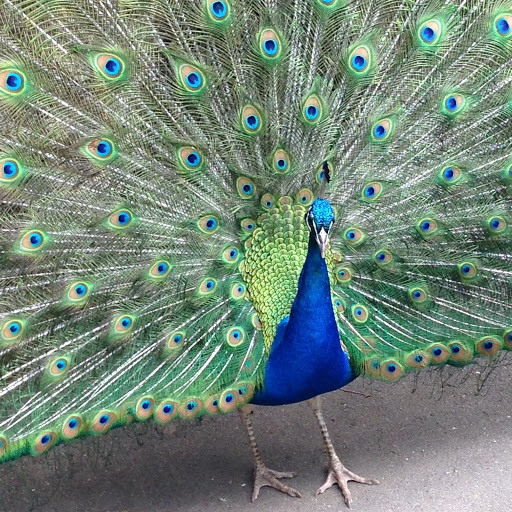 Sarah Mcdermott Photo 9