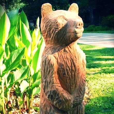 Andy Cummings Photo 35