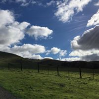 Stephanie Kaminsky Photo 9