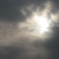 Sandy Biddle Photo 14