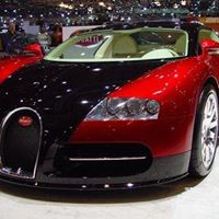 Debra Millar Photo 5