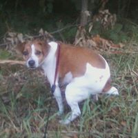 Ruby Hunt Photo 19
