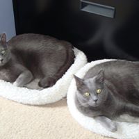 Pamela Nutter Photo 5