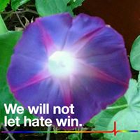 Deborah Clarke Photo 15