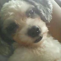 Cecilia Sanchez Photo 8