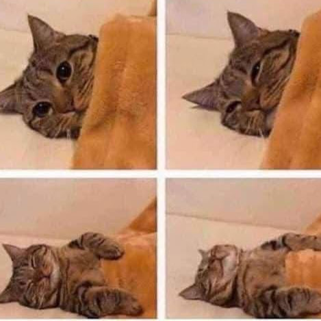 Jeremy Lang Photo 36