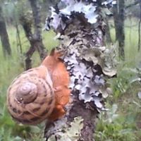 Adolfo Ruiz Photo 28 Adolfo Ruiz Photo 28