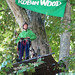 Robin Woods Photo 11
