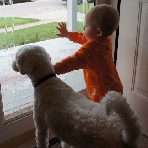 Brian Gamble Photo 17