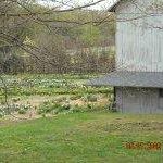 Sandy Robbins Photo 25