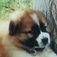 Julie Meissner Photo 3