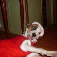 Bradley Robinson Photo 13