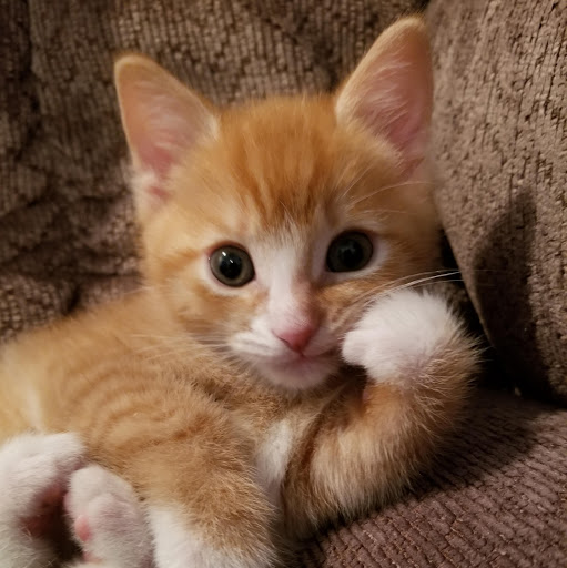 Jamie Myers Photo 25