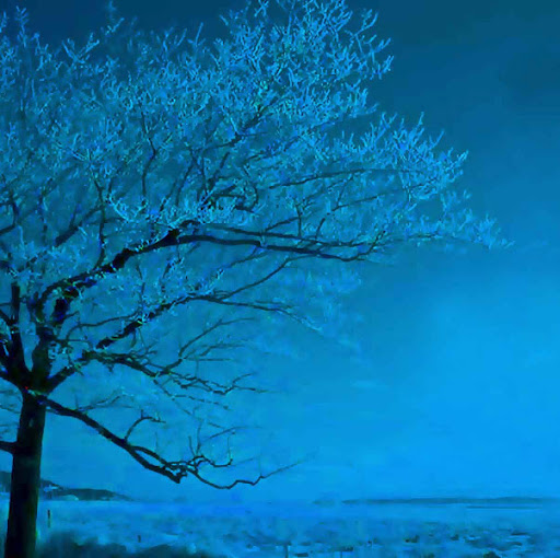 Steven Bruno Photo 33