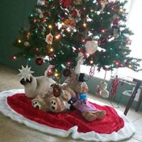 Shonda Rogers Photo 9