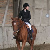 Cathy Mattern Photo 4