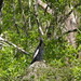 Jennifer Lazenby Photo 16