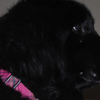 Kelly Clemons Photo 7