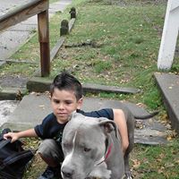 Anthony Gomez Photo 22