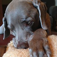 Brenda Mcdowell Photo 19