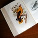 Oriole Sharp Photo 5