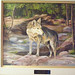 Jeanette Wolf Photo 28