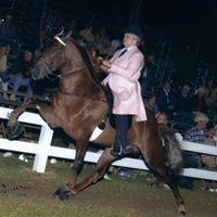 Michelle Hastings Photo 6