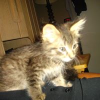 Christine Wendt Photo 11