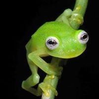 Christina Bates Photo 22