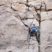 Catherine Hartman Photo 14