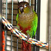 Ann Cheek Photo 16