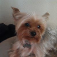 Christine Beckham Photo 8