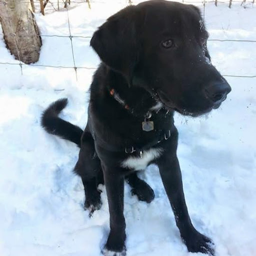 Anna Berger Photo 41 Anna Berger Photo 41