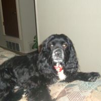 Barbara Michael Photo 13