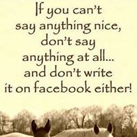 Julie Sellers Photo 5