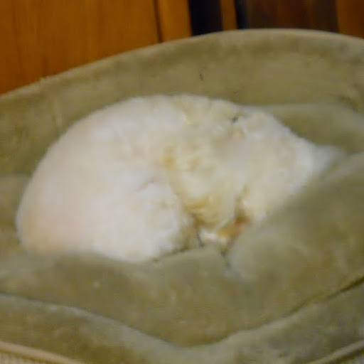 Lisa Gaither Photo 25