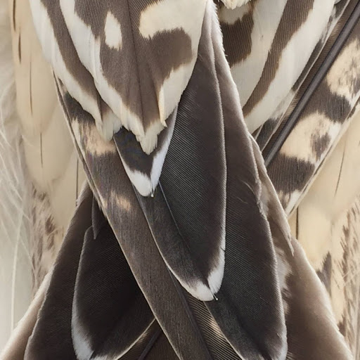 Elisabeth James Photo 22