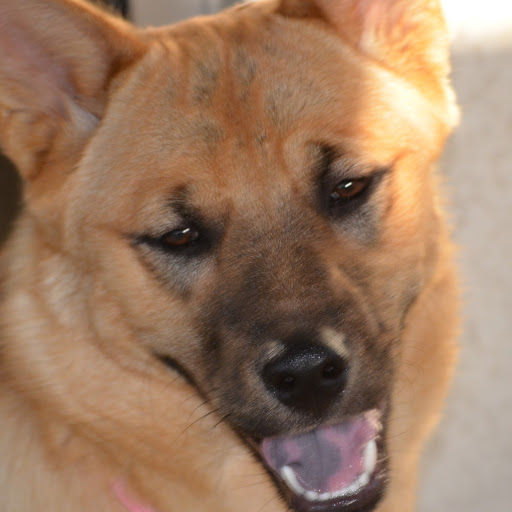 Tracy Crabtree Photo 10