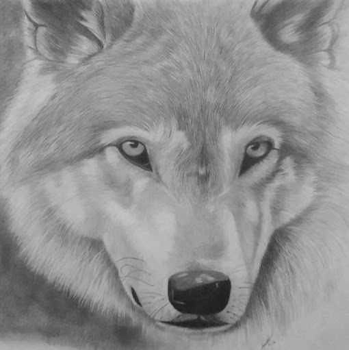 Cynthia Kirk Photo 37