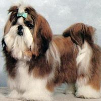 Lance Patrick Photo 13