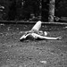 Ann Faulkner Photo 14