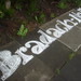 Nancy Nall Photo 21