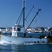 Deborah Fish Photo 24